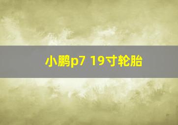 小鹏p7 19寸轮胎